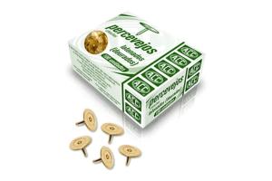 Percevejo Latonado Dourado C/100 und - Acc