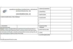 Bloco Inss Guia Da Previdencia Social 12 Folhas - Tamoio