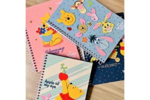 Caderno 1 Matéria 80Fls Ursinho Pooh C. Dura Sortido - Starschool