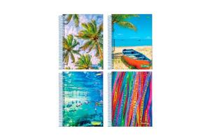Caderno 1 Matéria 80Fls Summer C. Dura Sortido - Jandaia