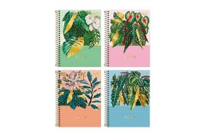 Caderno 1 Matéria 80Fls Naturalis C. Dura Sortido - Tilibra